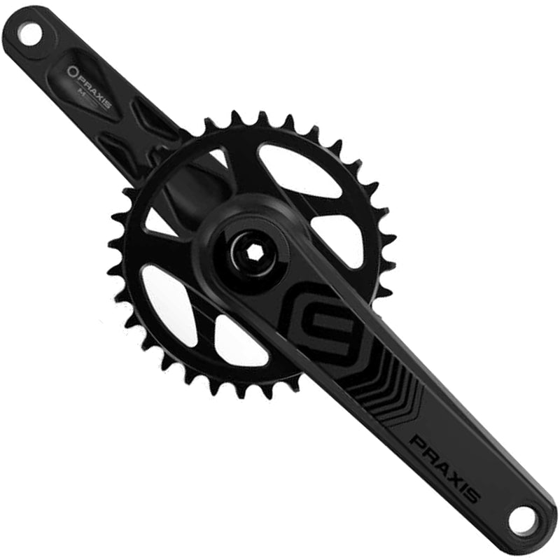 Praxis MTB DH9 Arms Only Cranks Black