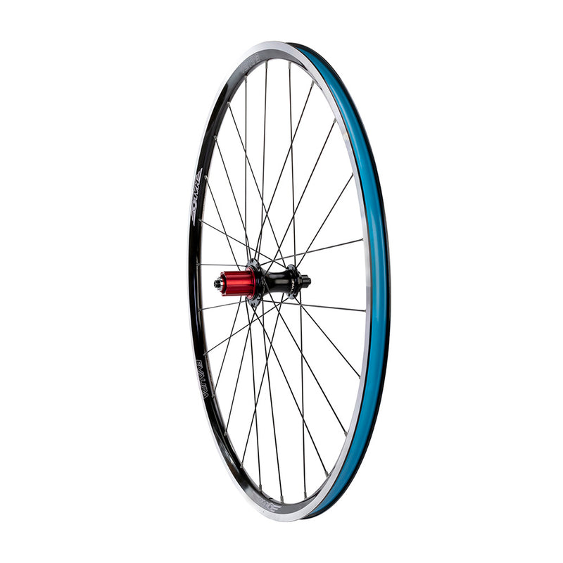 Halo Evaura RS2 Campag Rear Wheel Black