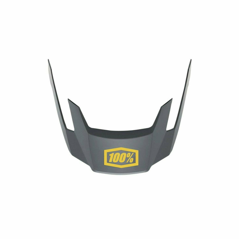 100% ALTEC Replacement Visor Charcoal